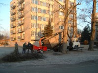 V ZIMNÍM OBDOBÍ SE ZAHRADNÍCI VĚNUJÍ PROŘEZÁVKÁM STROMŮ