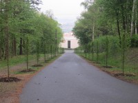 PŘÍJEZD K LESNÍMU HŘBITOVU JIŽ ZDOBÍ NOVÉ STROMOŘADÍ