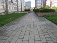 NEZAMĚSTNANÍ Z ÚŘADU PRÁCE ČISTÍ CHODNÍKY A OBRUBY KOMUNIKACÍ