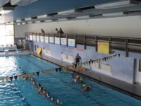 PRODEJ PERMANENTEK NA PLAVECKÝ STADION S PLATNOSTÍ DO 31.3.2013. 