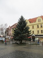 POŠKOZENÍ VÝZDOBY NA VÁNOČNÍM STROMĚ