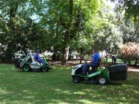  Sběr listí z travnatých ploch -  23.11. - 29.11.2015