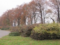 Omezení provozu na cyklostezce