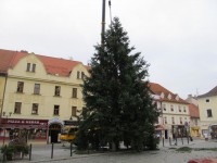 VELKÉ NÁMĚSTÍ ZDOBÍ ZŘEJMĚ NEJVĚTŠÍ VÁNOČNÍ STROM ZA POSLEDNÍ ROKY