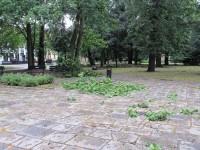 Větrná bouře páchala rozsáhlé škody 