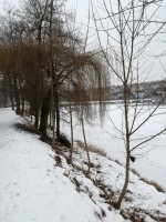 Městské služby Písek s.r.o. čistí břehové porosty řeky Otavy