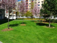 Obnovená zeleň na sídlištích Portyč a Jih