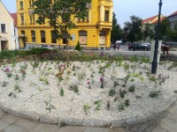 Nové trvalkové záhony na Bakalářích