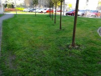 Sečení travnatých ploch - 15.6. - 21.6.2020