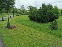 Sečení travnatých ploch - 29.6. - 5.7.2020