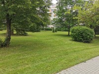 Sečení travnatých ploch - 3.8. - 9.8.2020