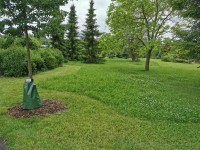 Sečení travnatých ploch - 31.8. - 6.9.2020