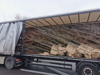 Výsadby stromů - jaro 2021