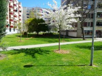 Sečení travnatých ploch - 17.5. - 23.5.2021