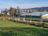 Podzimní výsadby stromů jsou dokončeny