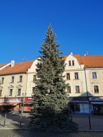 Vánoční strom má už také Písek