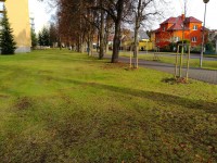 Téměř jarní počasí přeje městským zahradníkům