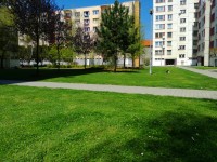 Sečení travnatých ploch - 25.4.-1.5.2022