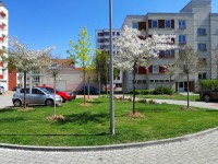 Sečení travnatých ploch - 9.5.-15.5.2022