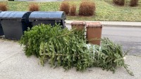 Ve středu 25.1. a ve čtvrtek 26.1.2023 proběhne svoz vánočních stromků