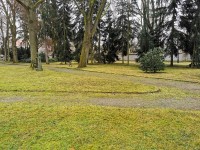 Téměř jarní lednové počasí přeje městským zahradníkům