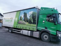 Jarní výsadby stromů