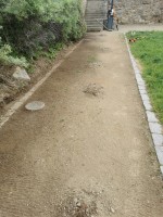 Pracovníci veřejné zeleně provedli údržbu cest v příkopě v Hradební ulici