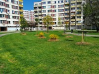 Sečení travnatých ploch - 3.7.-9.7.2023