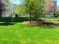 Sečení travnatých ploch 18.9.- 24.9.2023