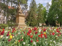 Květinové záhony po zimě rozzářily veřejný prostor