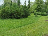 Sečení travnatých ploch 17.6.-23.6.2024